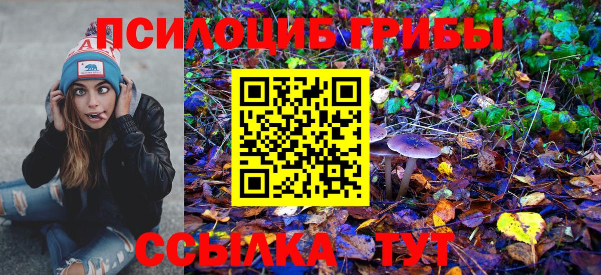Химки  Галлюциногенные грибы мухоморы  Вход с VPN 